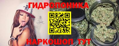 ПСИЛОЦИБИНОВЫЕ ГРИБЫ Нарткала