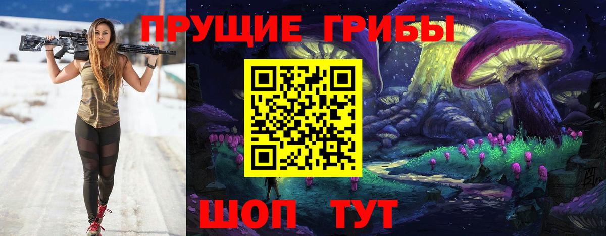 Псилоцибиновые грибы мицелий Ростов-на-Дону